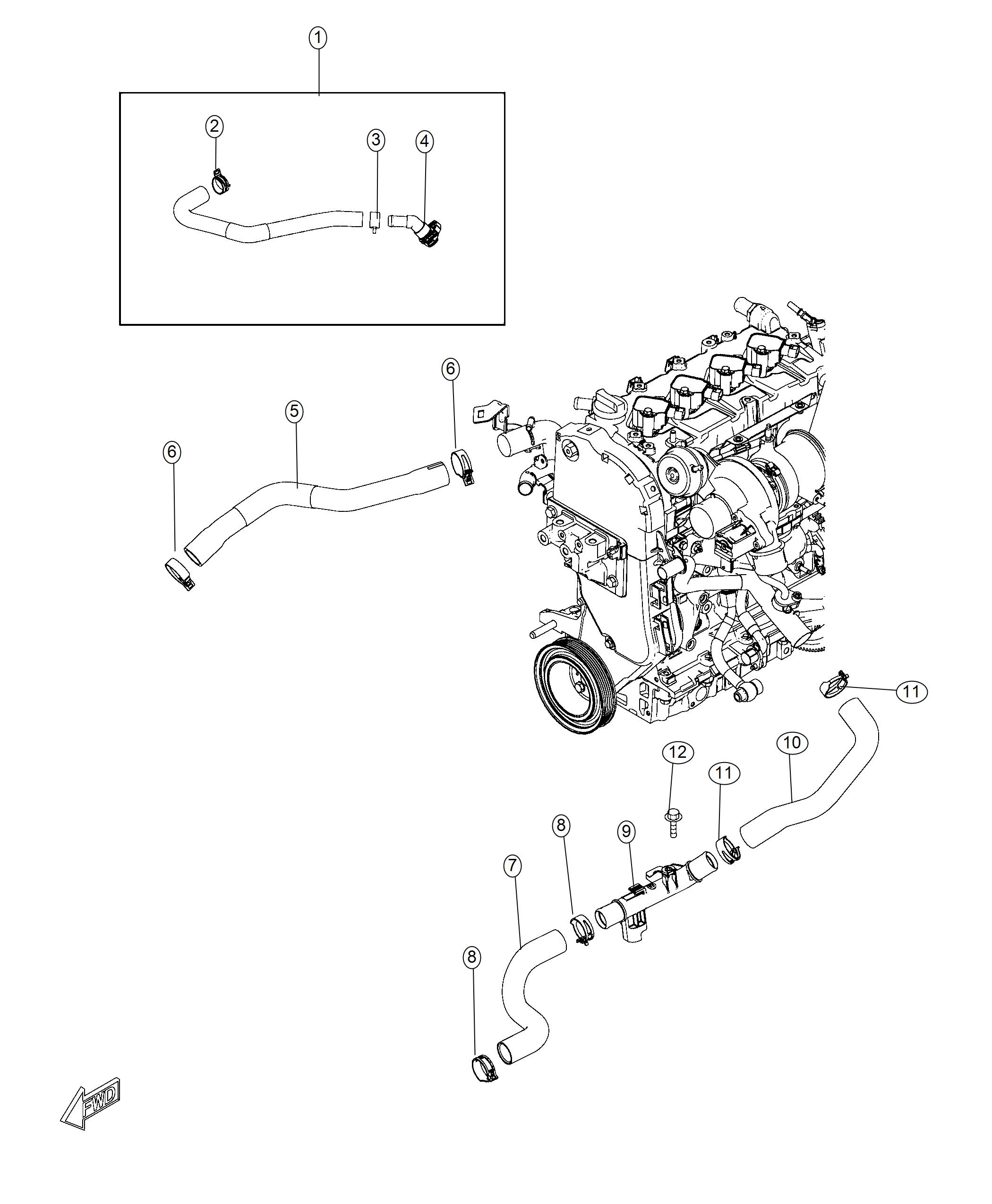 Radiator Hoses And Related Parts. Diagram