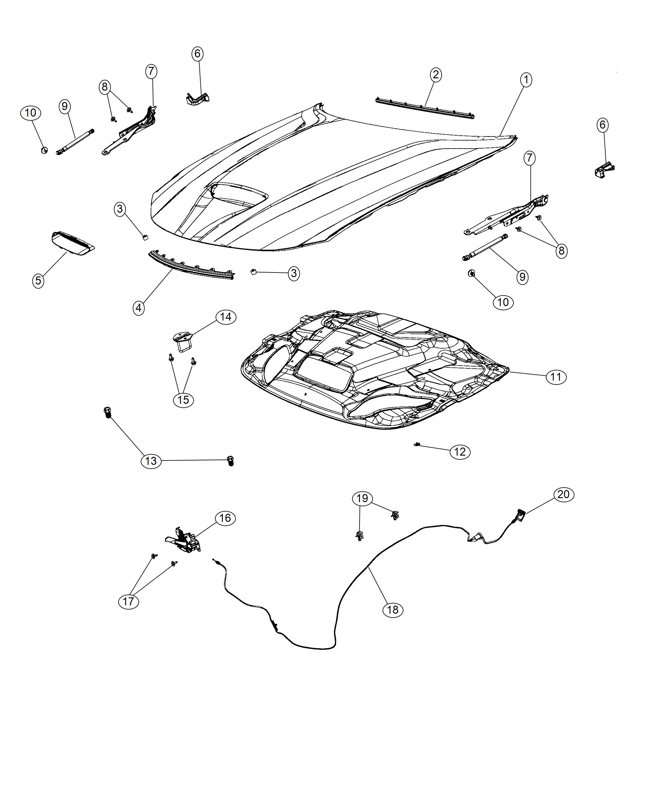 Diagram Hood and Related Parts. for your 2019 Dodge Charger   