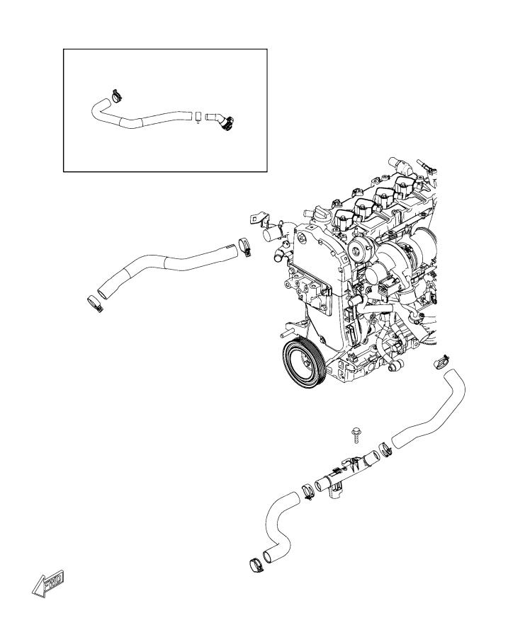 Radiator Hoses And Related Parts. Diagram