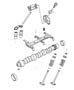 Camshaft and Valves. Diagram