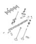 Camshaft and Valves, 8.0L (EWA). Diagram