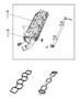 Diagram Lower Intake Manifold 3.5L [3.5L V6 HIGH OUTPUT 24V MPI ENGINE]. for your 2002 Dodge Ram 1500 QUAD CAB 4.7L Magnum V8 A/T