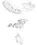 Underbody Shields and Skidplates Diagram