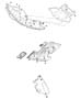 Underbody Shields and Skidplates Diagram