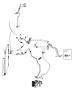 Diagram A/C Plumbing. for your RAM 1500