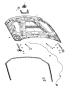 Diagram Hood and Related Parts. for your 2011 Jeep Liberty RENEGADE