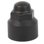 View Cap - Wheel Nut.  Full-Sized Product Image