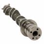 View Camshaft.  Full-Sized Product Image 1 of 3