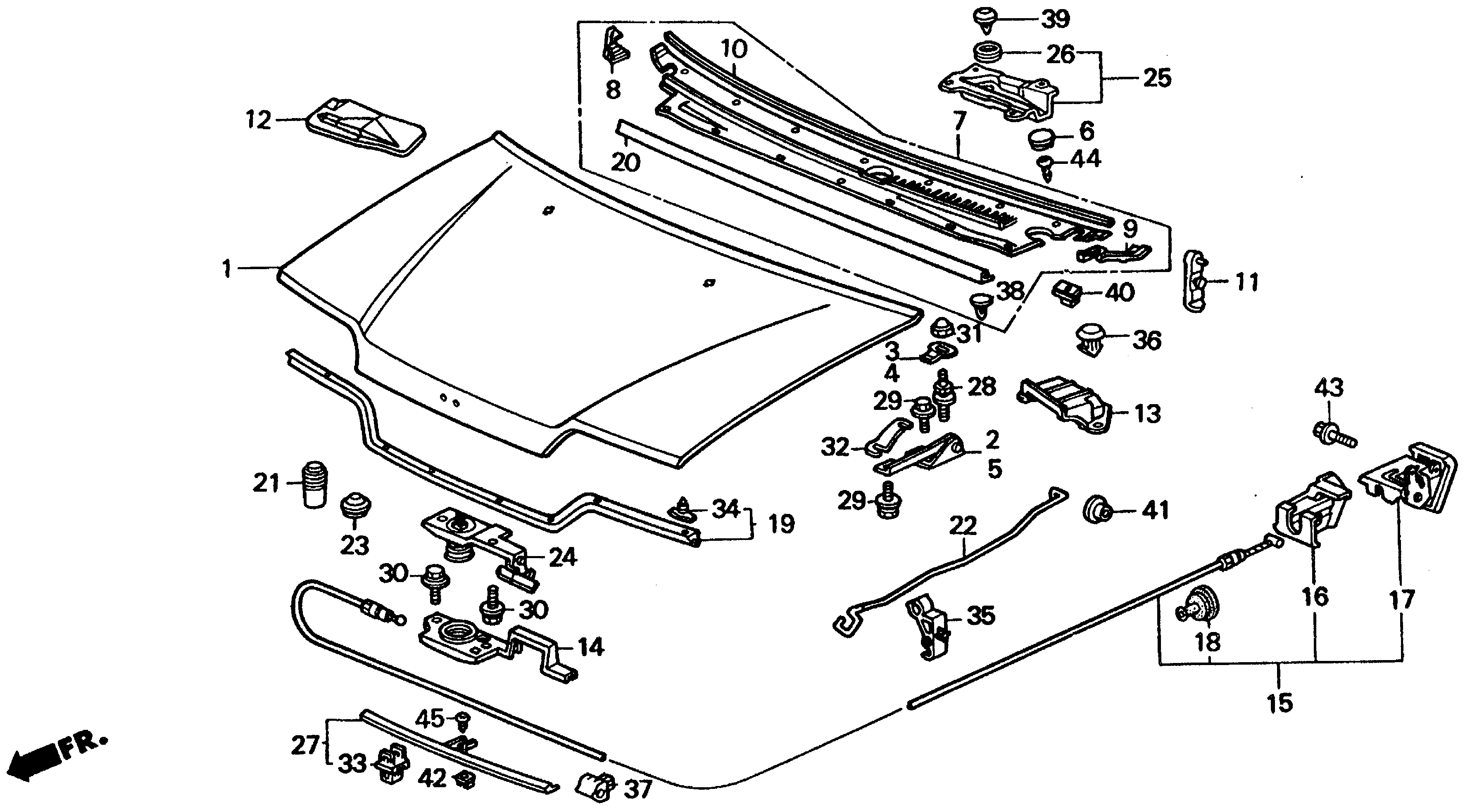 Diagram HOOD for your 1989 Honda Accord Coupe 2.0L MT DX 