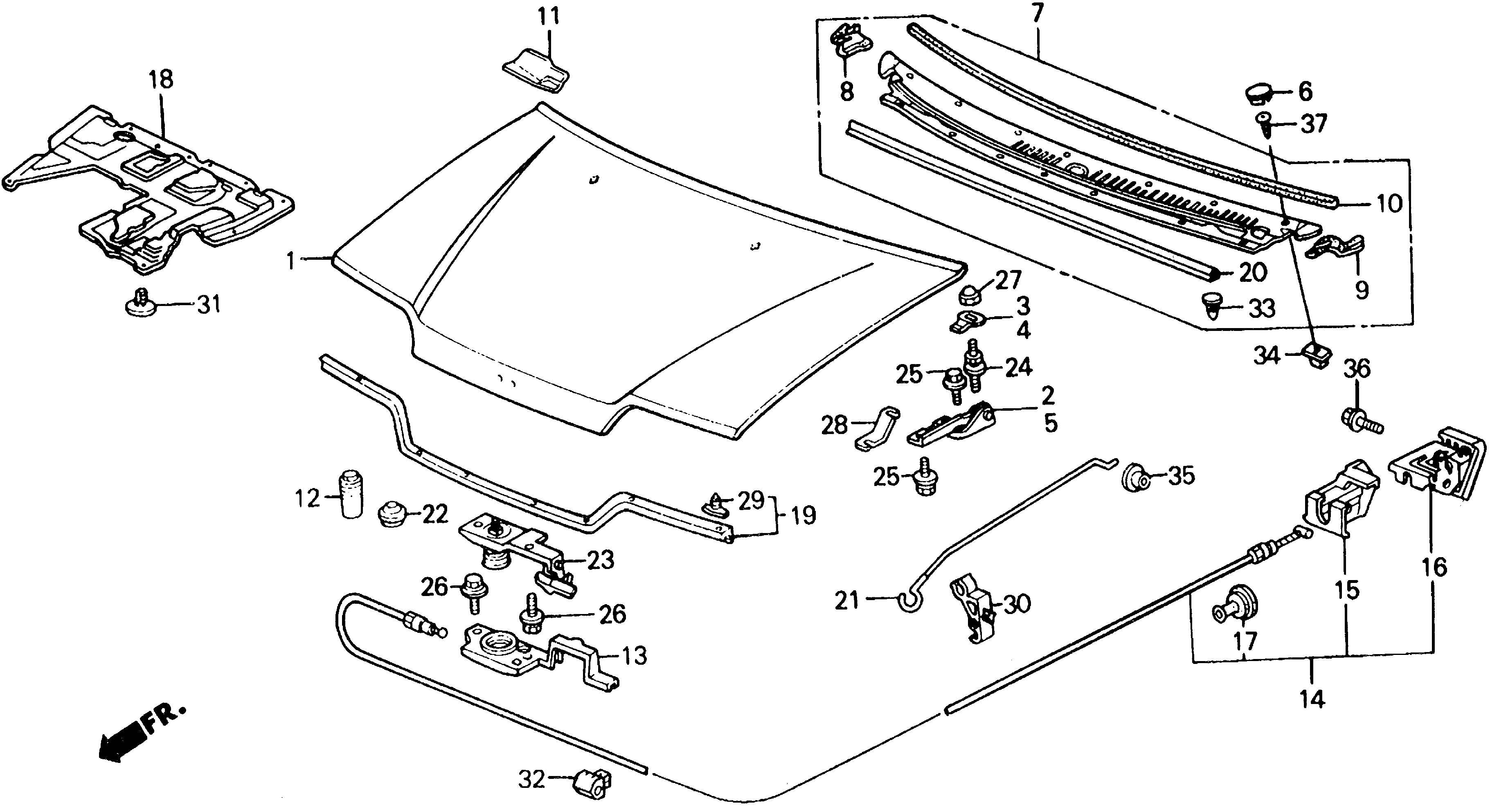 Diagram HOOD for your 1989 Honda Accord Coupe 2.0L MT DX 