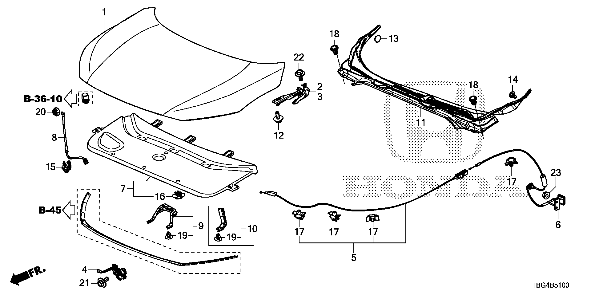 Diagram ENGINE HOOD for your 2017 Honda Civic Coupe 2.0L i-VTEC MT LX 