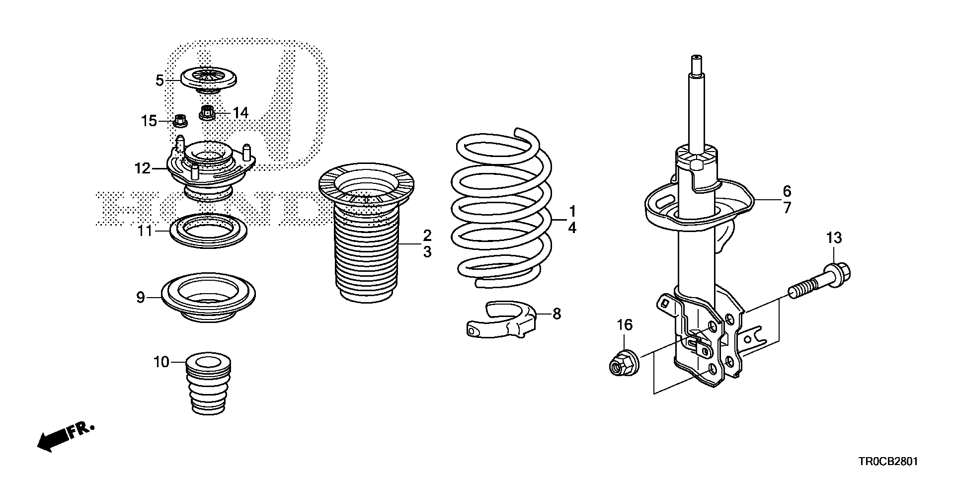 Diagram FRONT SHOCK ABSORBER (2.4L) for your 2025 Honda Accord   