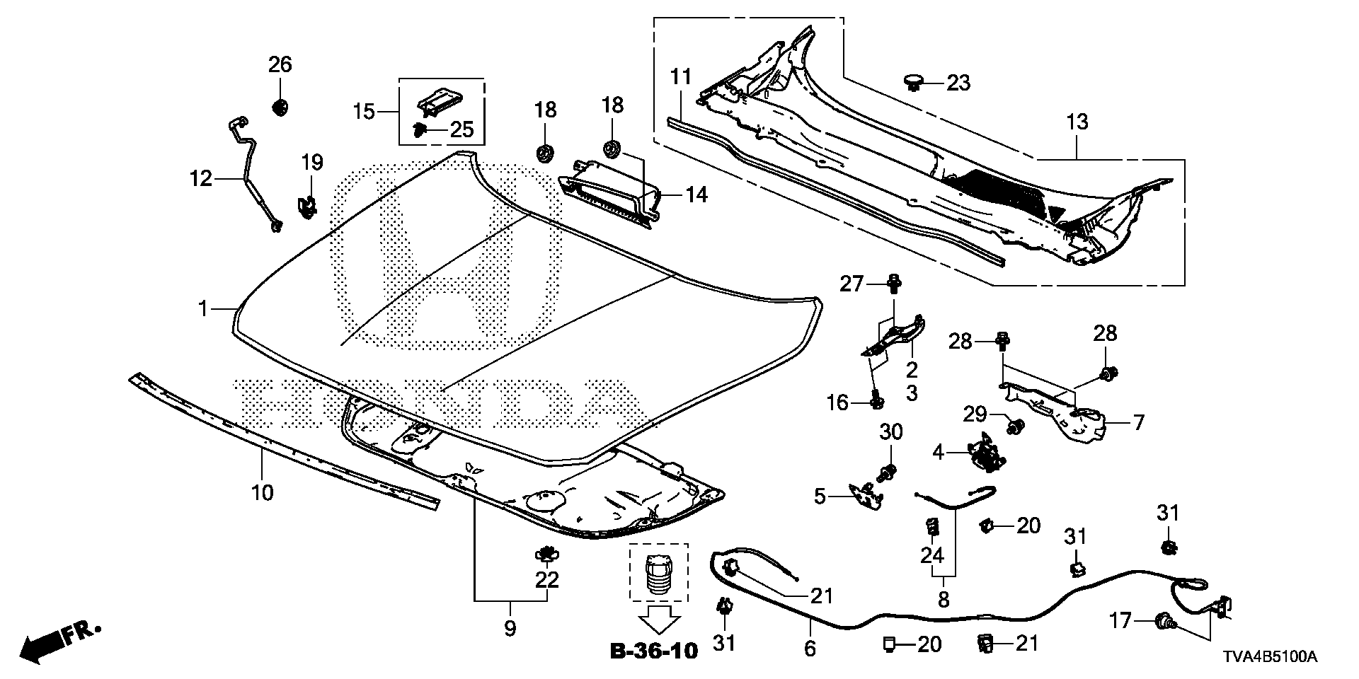 Diagram ENGINE HOOD for your 2022 Honda Accord   