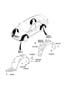 Diagram WHEEL GUARD for your 2021 Hyundai Tucson Sport