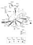 Diagram RELAY & MODULE for your 2007 Hyundai Azera