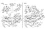 Diagram TANK-FUEL for your 2016 Hyundai Santa Fe
