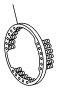 View SPRING Full-Sized Product Image