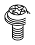 View BOLT Full-Sized Product Image
