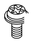 View BOLT Full-Sized Product Image