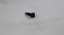 Image of Screw 4.8 X 16. image for your Porsche