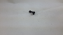 Image of Screw. Support. Bolt. Bumper.  A threaded rod with a. image for your Porsche
