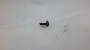Image of Screw.  A Screw that is used to. image for your Porsche