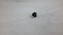 Image of Trim. Clip. (Front, Upper). A Clip which helps. image for your 1987 Porsche 911