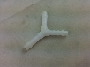 Image of Hose Y Connector. image for your 2012 Porsche 911
