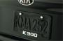 View License Plate Frame, Lower Logo Full-Sized Product Image
