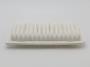 View AIR CLEANER ELEMENT      (FP) Full-Sized Product Image 1 of 1