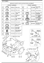 FRONT & REAR WIRING HARNESSES (U.S.A & CANADA) (3/12)