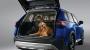 Image of Retractable Pet Divider image for your Nissan Rogue  
