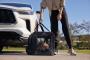 Image of Pet Carrier image for your 2018 INFINITI QX50   
