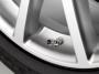 Valve Stem Caps image for your Audi S5 Sportback  