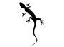 View Gecko Decal, Brilliant Black Full-Sized Product Image 1 of 1