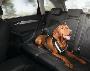 Image of Dog Harness - Small. The Audi Accessories. image for your Audi A3  