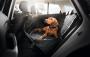 View Protective Rear Seat Pet Cover Full-Sized Product Image