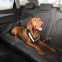 View Safety harness for dogs - very large Full-Sized Product Image