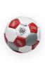 Image of Soccer Ball image for your Audi