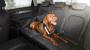 Image of Dog Harness - Medium. The Audi Accessories. image for your Audi A6 allroad  
