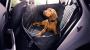 View Protective Rear Seat Pet Cover Full-Sized Product Image 1 of 2