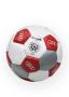 View Audi Soccer Ball Full-Sized Product Image 1 of 1