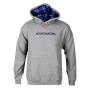 View Volkswagen Campus Hoodie Full-Sized Product Image 1 of 1