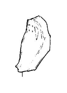 View 1254166 Fender repair part, left Full-Sized Product Image