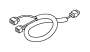 View Headlight Wiring Harness Full-Sized Product Image
