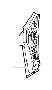 View 31213942 Full-Sized Product Image