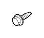 View Flange screw Full-Sized Product Image
