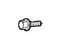 View Flange screw Full-Sized Product Image 1 of 3