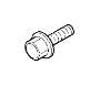 View Flange screw Full-Sized Product Image 1 of 3