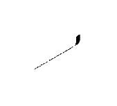 View Feed Line. Fuel Lines from Tank to Engine. Full-Sized Product Image